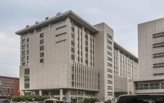 莘東置業(yè)：打造高品質(zhì)住宅，引領(lǐng)宜居新時代